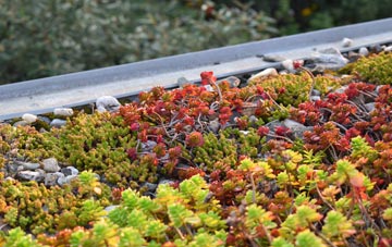 the cost of Outwood green roof installation