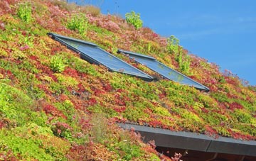 Outwood living roof systems