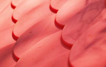 Outwood plastic roof costs